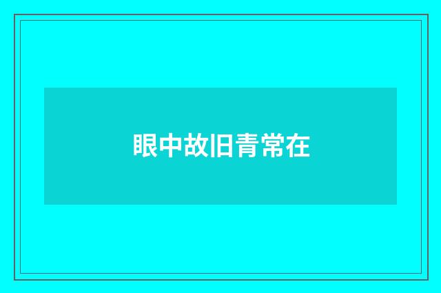 眼中故旧青常在
