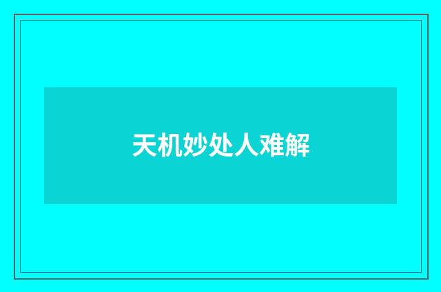 天机妙处人难解