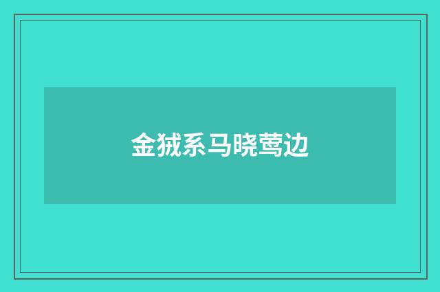 金狨系马晓莺边