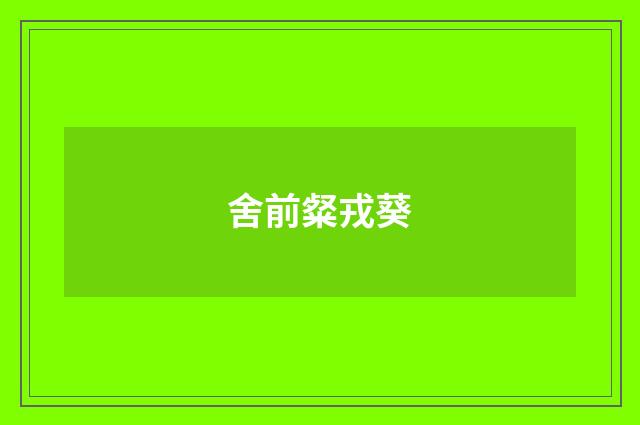 舍前粲戎葵