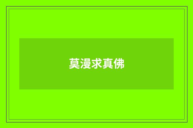 莫漫求真佛