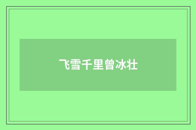 飞雪千里曾冰壮