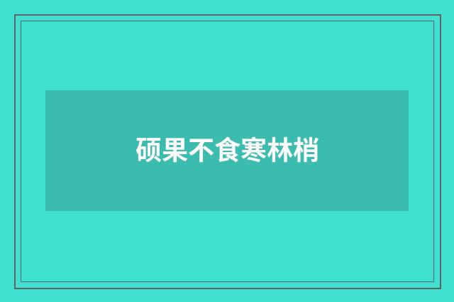 硕果不食寒林梢