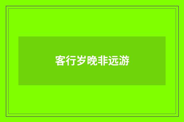 客行岁晚非远游
