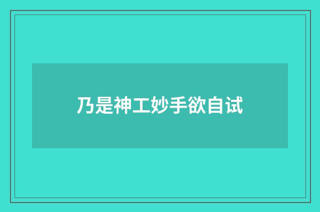 乃是神工妙手欲自试