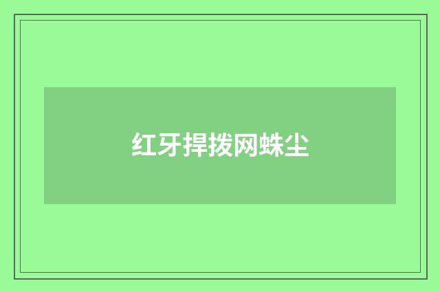 红牙捍拨网蛛尘