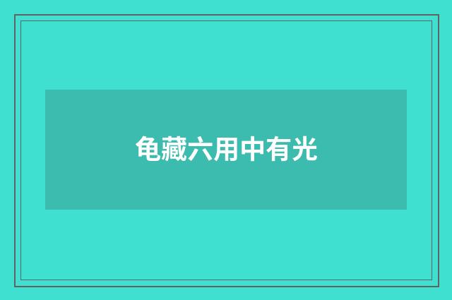 龟藏六用中有光