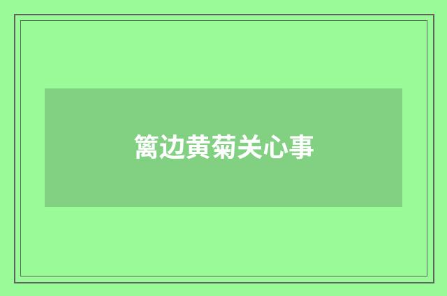 篱边黄菊关心事