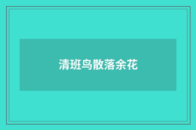 清班鸟散落余花