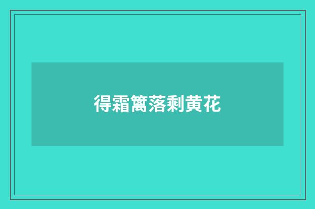得霜篱落剩黄花