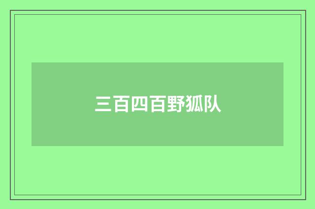 三百四百野狐队