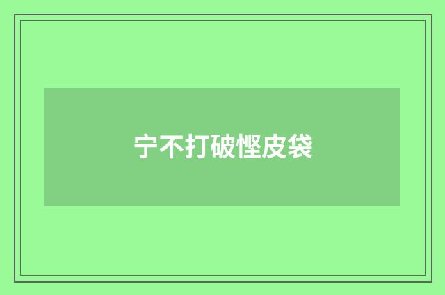 宁不打破悭皮袋