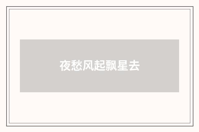 夜愁风起飘星去
