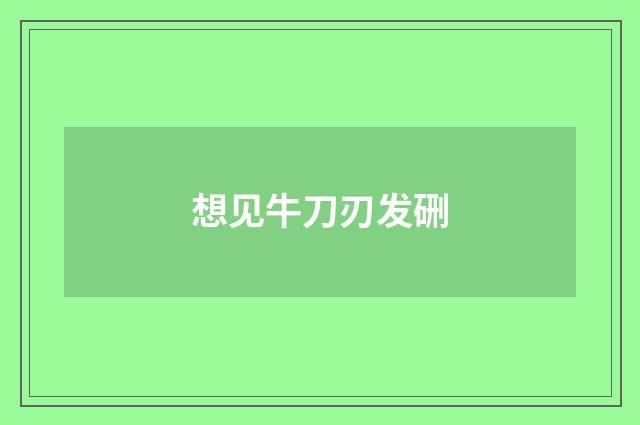 想见牛刀刃发硎