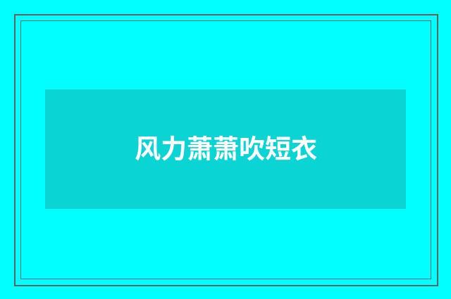 风力萧萧吹短衣