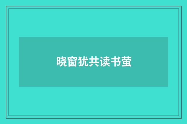 晓窗犹共读书萤