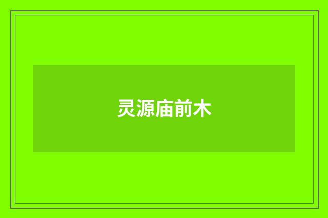 灵源庙前木
