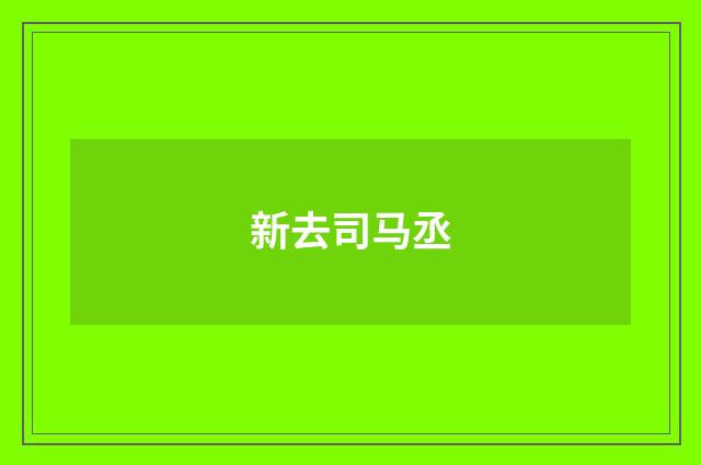 新去司马丞