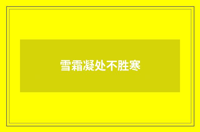 雪霜凝处不胜寒