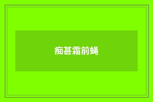 痴甚霜前蝇