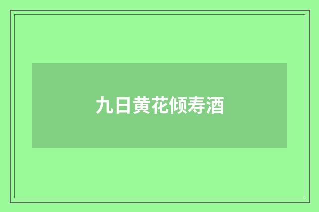 九日黄花倾寿酒