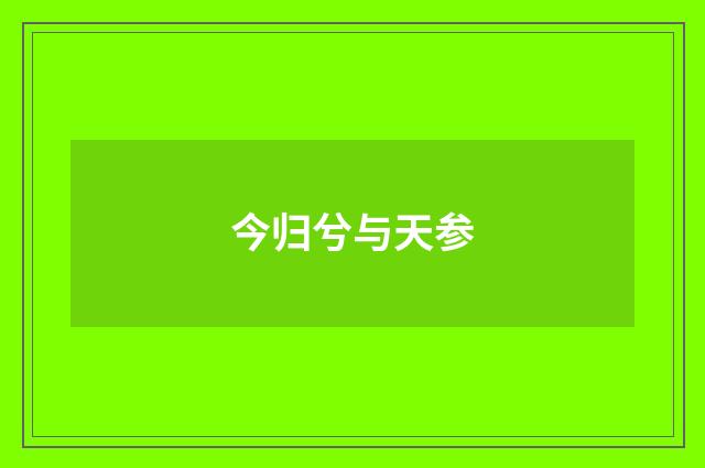 今归兮与天参