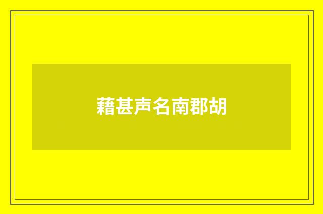 藉甚声名南郡胡