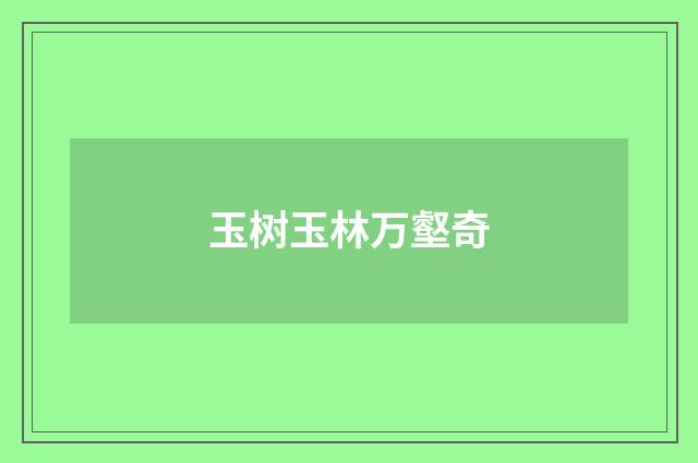 玉树玉林万壑奇