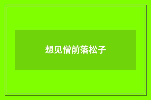 想见僧前落松子