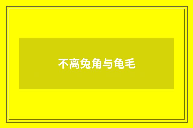 不离兔角与龟毛