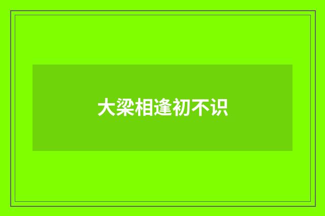 大梁相逢初不识