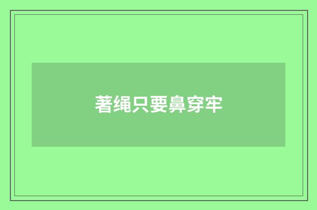 著绳只要鼻穿牢