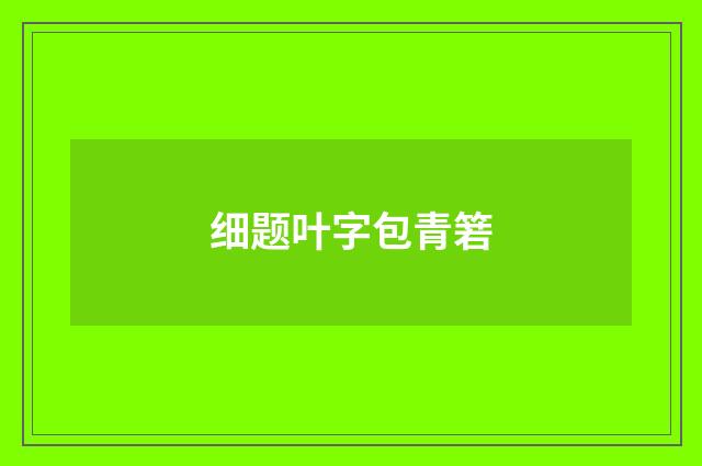 细题叶字包青箬
