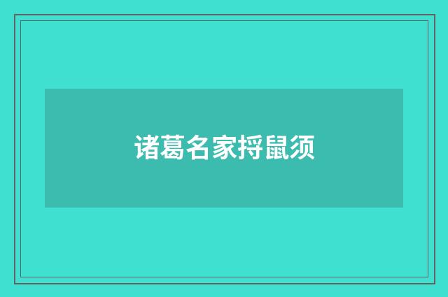 诸葛名家捋鼠须