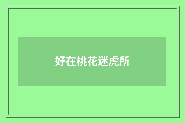 好在桃花迷虎所