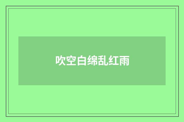 吹空白绵乱红雨