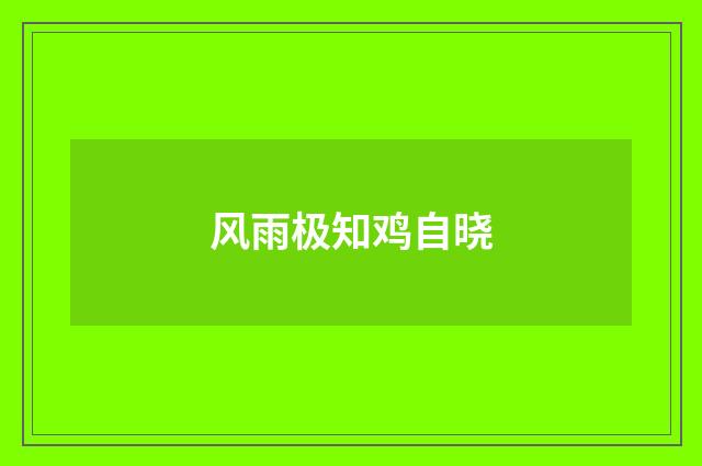 风雨极知鸡自晓