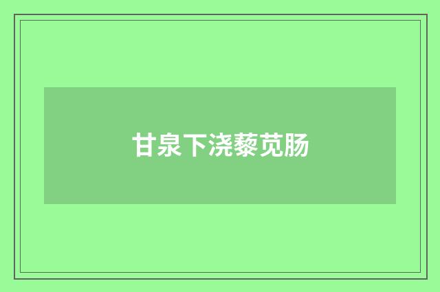 甘泉下浇藜苋肠