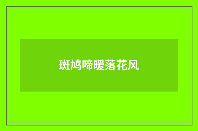 斑鸠啼暖落花风