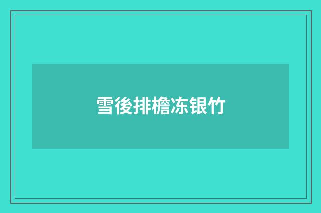 雪後排檐冻银竹