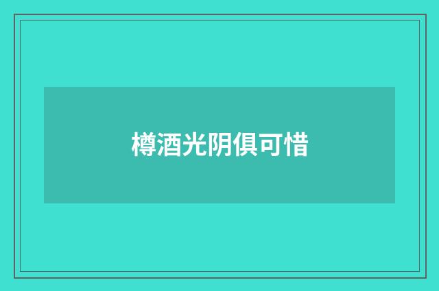 樽酒光阴俱可惜