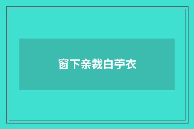 窗下亲裁白苧衣