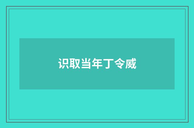 识取当年丁令威