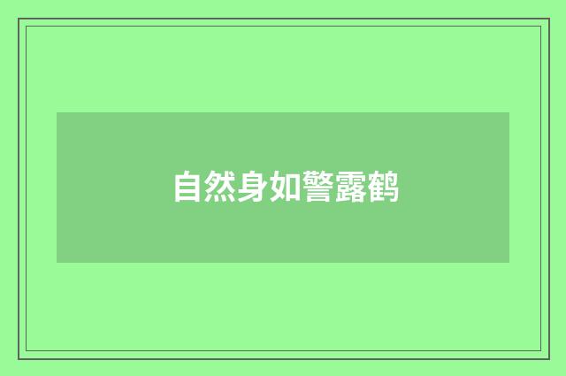 自然身如警露鹤