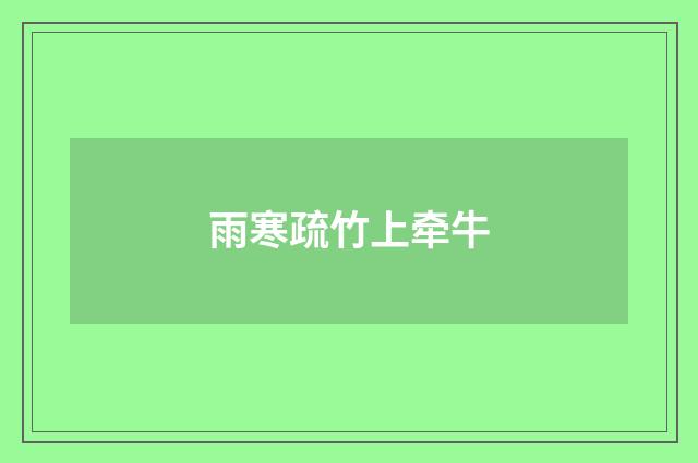 雨寒疏竹上牵牛