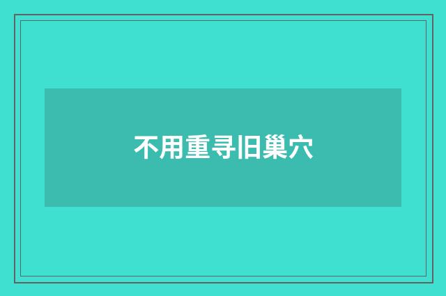 不用重寻旧巢穴