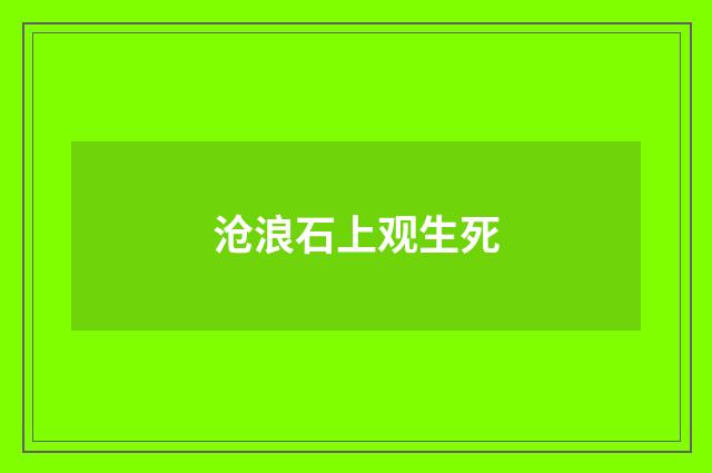 沧浪石上观生死