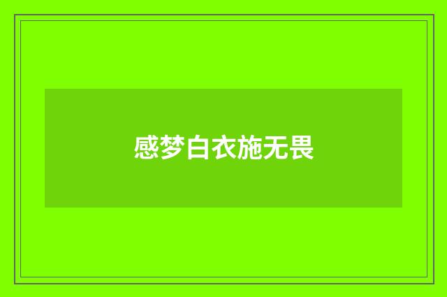 感梦白衣施无畏