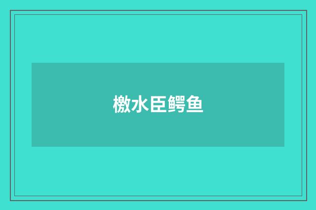 檄水臣鳄鱼
