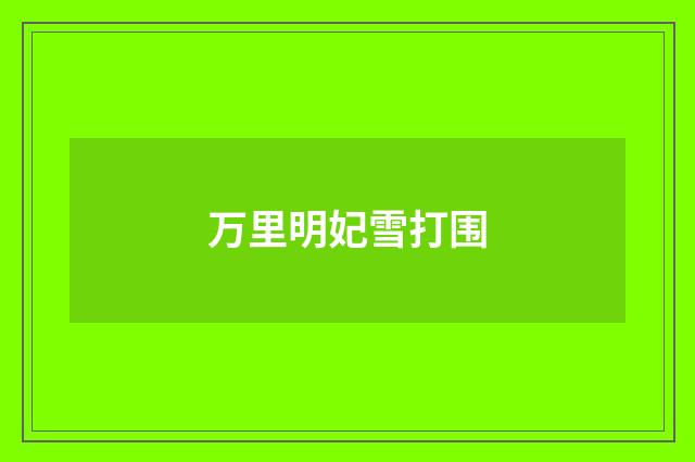 万里明妃雪打围